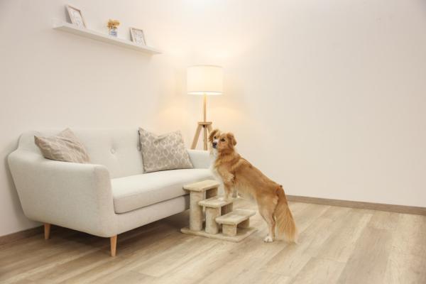 Tiertreppe Kerbl Easy Climb 2.0 - Hundetreppe - Katzentreppe - Aufstiegshilfe für alte, kranke oder kleine Tiere